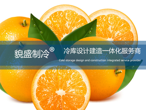 橙子保鮮冷庫安裝.jpg